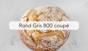 Rond Gris 800  coupé