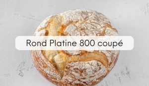 Rond Platine 800  coupé